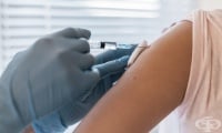 Z24.1 Необходимост от имунизация против вирусен енцефалит, предаван от членестоноги