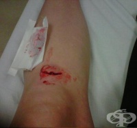 S81.9 ������� ���� �� ������������ � ���������� �����������