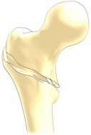 S72.1 �������������� ��������