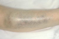 S80 ������������ ������ �� ������������