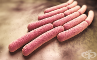 A03.0 Шигелоза, предизвикана от Shigella dysenteriae