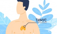 E32.0 Персистираща хиперплазия на тимуса