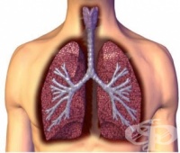 S27.3 ����� ������ �� ����� ����