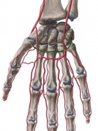 S65.3 ������ �� ��������� �������� ���� �� ������