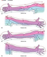 S44.5 ������ �� ������ �������� ���� �� ���� ������� ���� � �������