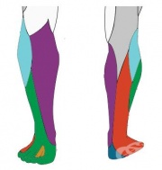 S84.2 ������ �� ������ �������� ���� �� ���� ����������