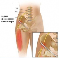 S74.2 ������ �� �����-��������� ���� �� ���� ����������� ����� � �����