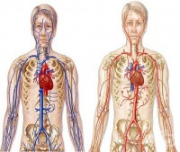 S25 ������ �� ������������ ������  �� ������� ���