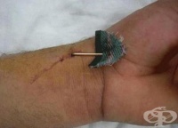 S65.1 ������ �� �������� ������� �� ���� ����� � ����