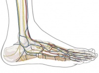 S94 ������ �� ������� �� ���� ������  � �������