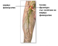 S74.1 ������ �� ������ ��������� �� ���� ����������� ����� � �����