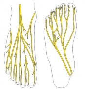 S94.9 ������ �� ��������� ���� �� ���� ������ � �������