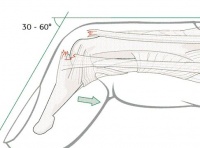 S66.7 ������ �� ������� ����������� ������� � ��������� �� ���� ����� � ����