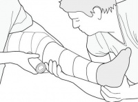 S79.9 ������ � �������� �� ������������� ����� � �������, ����������