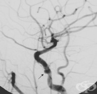 S15.0 ������ �� ������� �������