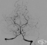 S15.1 ������ �� ������������� �������