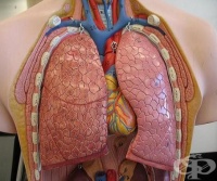 S28.1 ����������� ��������� �� ���� �� ������� ���