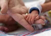 11% �� ������������ � ��� - ����������