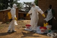 ��������������� ������� ����� ����� ��������� 100-��������� ������