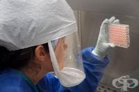 ��������� ������� ���� � ���� �� ���-������������� ����������� � �������� �����