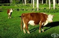 � ���� ������ �� ����� ������ ���������� ����� �� ��������������� �� ����������������� �� �������