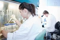 �������������� ������� ������� ������������ �� ������� ��������