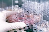 � ����� ��������� ������� ������� ����� ������� ����� ����