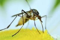 ������� ���� ���� �� ���������� ����� �� �����