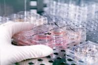 �������� ������ ����������� ���������� �� ������ ������ ���������