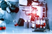 ������� ���� ���� �� ����� ������� �� ��������� �� �������� ��� ����