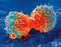 �������� ������� ������������ �������� � ������� � ���� 