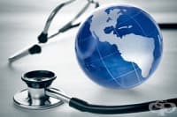 ���������� ������� ����������� ������� ������ ������� � ����� �� ������� ����� "�����"