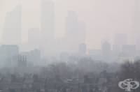 ���: ���� 12 �������� �� ���������� ��������� ��� ������ �� ������������ ������