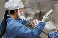 Литва, Нидерландия и Беларус с първи потвърдени случаи на коронавирус