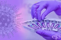На 19 август 2020-а новите случаи на COVID-19 са 169, 257 са излекуваните