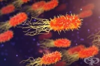 Учени разработват инхалационна ваксина срещу бактериална пневмония