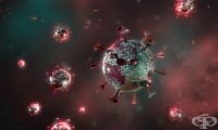 Учени предупреждават за нов вариант на SARS-CoV-2 с множество мутации в шиповия протеин