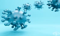 12 области в страната са навлезли в етап 3 от плана за противодействие на COVID-19