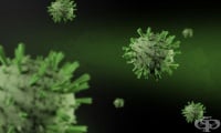 Новият коронавирус NeoCov заразява прилепи, но е нужна само една мутация, за да стане опасен за човека
