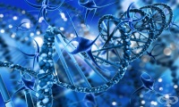 Химически синтезирана ДНК убива рака и не допускат рецидив
