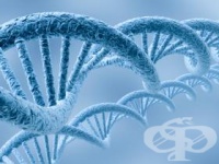 ����� ��������� ��������� � ��� �� 115-������� ���� - �����  �� ������������