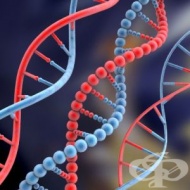 ����� �� ������� ������� � ���������� ���