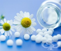 �-� ����� ��������: ������� �, �� �������������� ����������� �� ���������