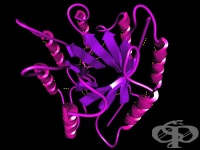 ����� ������� �������, ���������� ������� ���� �� ����������������� �� �������� ������