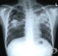 500 ��������, �������� �� �������� ����� �� ���������� ����������, �� ��������