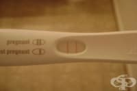 ��� �� ���������� �� ����������� ������� �� ����������