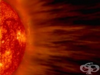 �� ���� �� ���� ��������� ��� ����� �������� ����