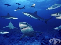 �������� �� ����� ������� � ������� � ����