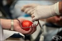 ������������� ��������� ������������ �������� �� ������������ �� ���������