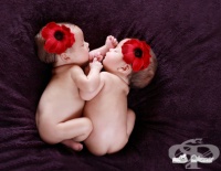 ������� ����: ��� ���� �� ����� ������, ��������� �� ������ ������, �� ����� ������ �� ���� �������� ���� ����